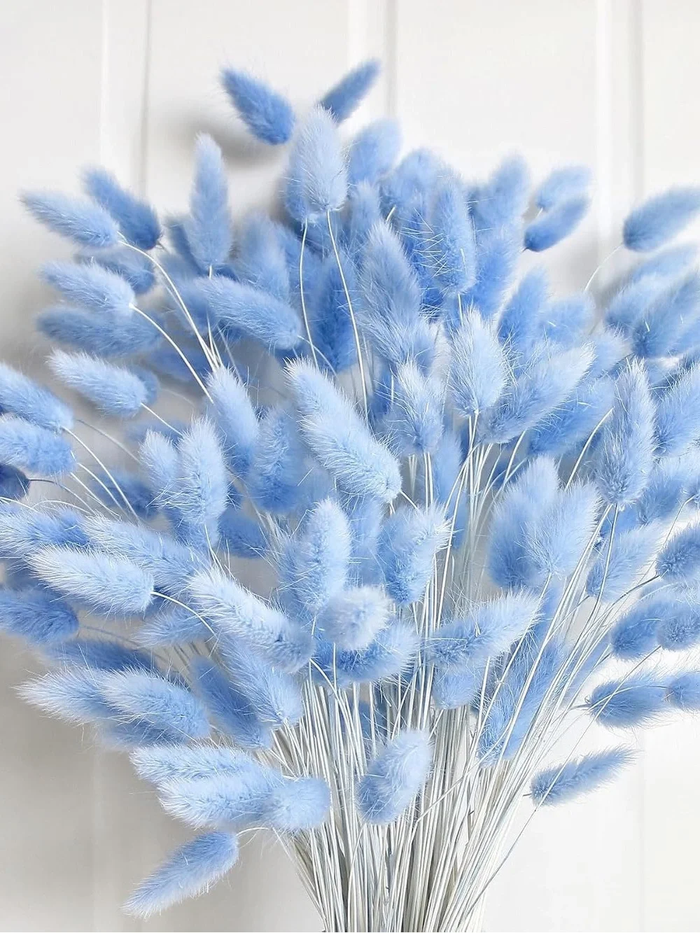 100 count Light Blue Dried Bunny Tails Bouquet - Home Accents